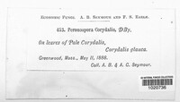 Image Associated With the Occurence